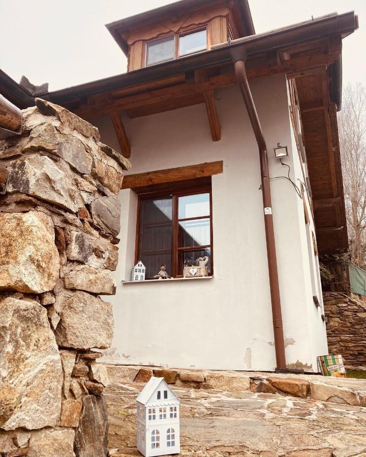 Apartmány Srub Jenišov Horní Planá Exterior foto