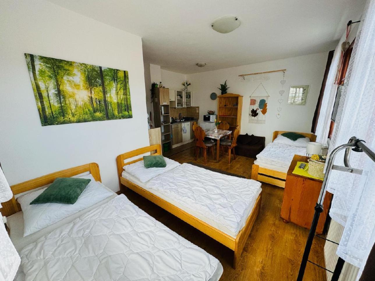 Apartmány Srub Jenišov Horní Planá Exterior foto